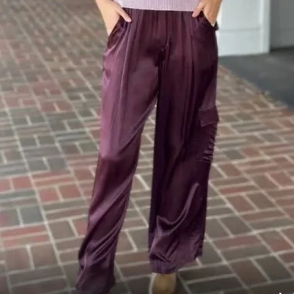 NWT Young Fabulous & Broke Findlay Satin Cargo Carpenter Pants in Raisin - M - Picture 3 of 16